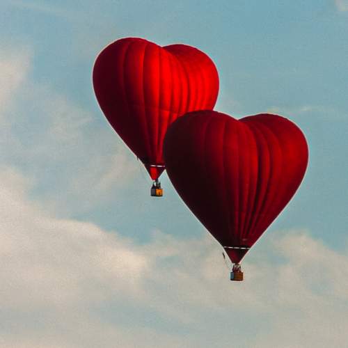 Photo #13044109