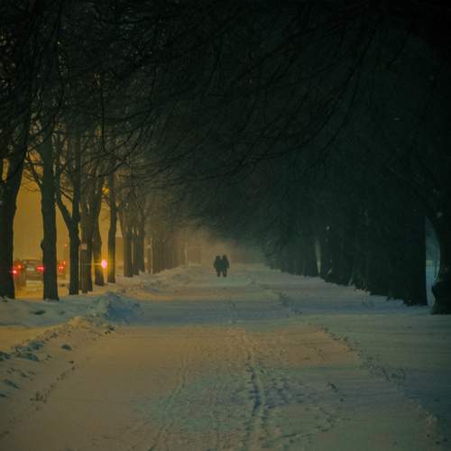 Photo #13044110