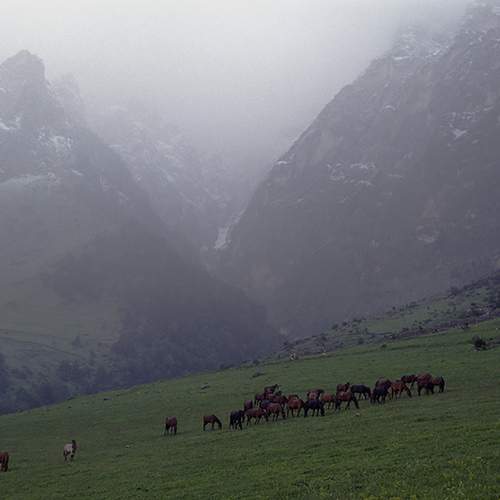 Photo #13044124