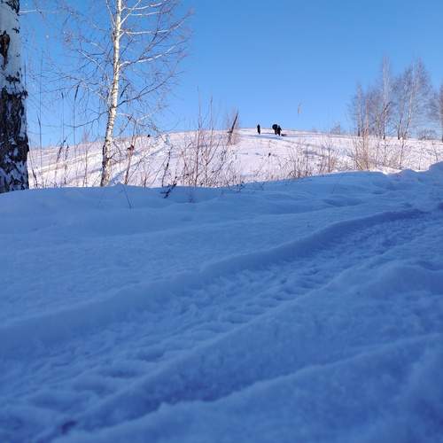 Photo #13044133