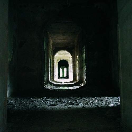 Photo #13044253