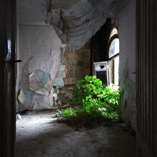 Photo #13044254
