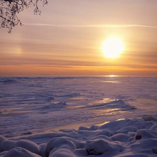 Photo #13044447