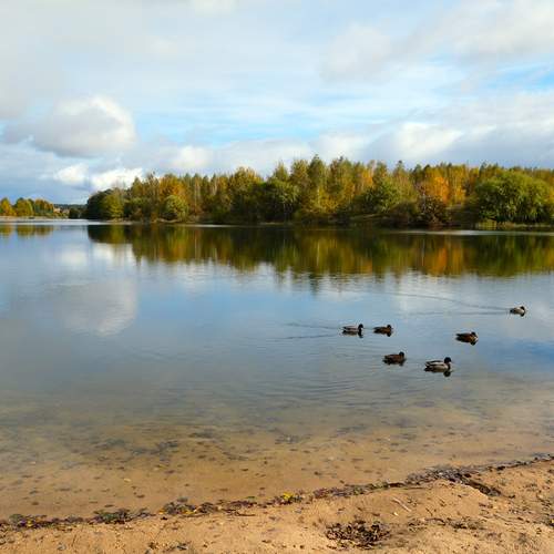 Photo #13044611