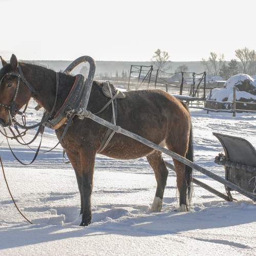 Photo #13044755