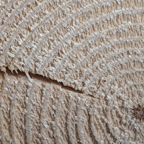 Photo #13044907