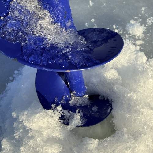 Photo #13044964