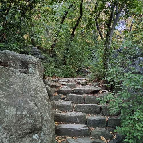 Photo #13045056
