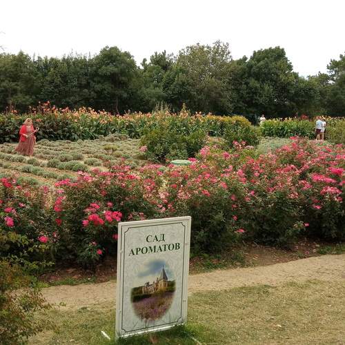Photo #13045057