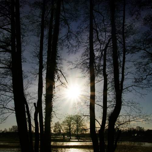 Photo #13045143