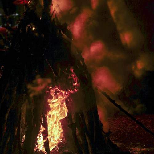 Photo #13045183