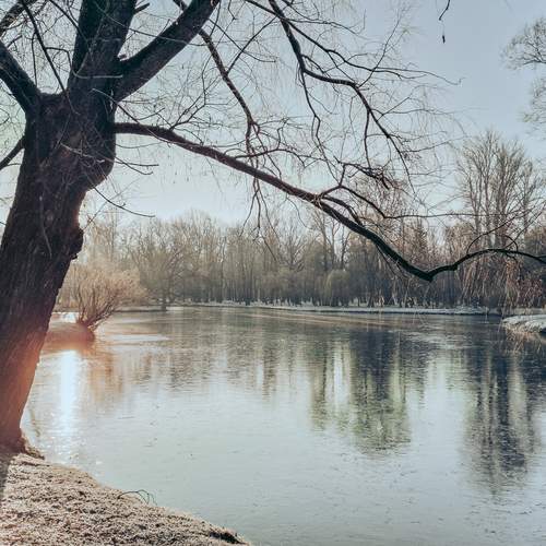 Photo #13045215