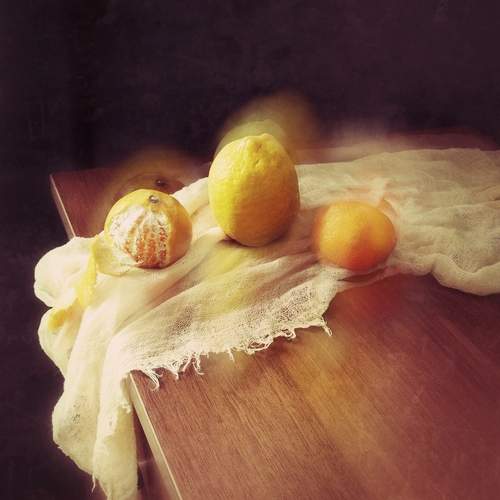 Photo #13045321