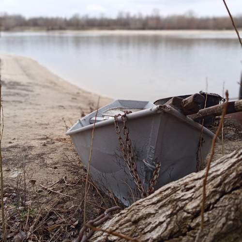 Photo #13045369