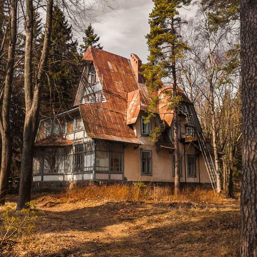Photo #13045433