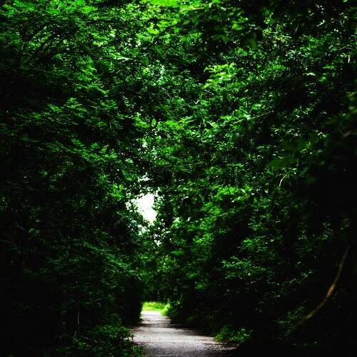 Photo #13045516