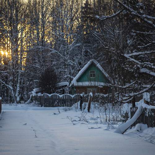 Photo #13045531