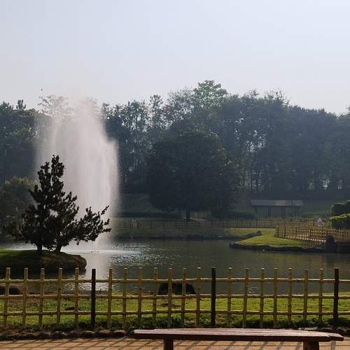 Photo #13045585