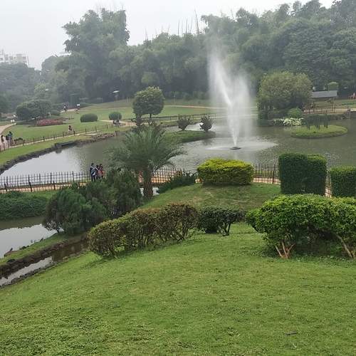 Photo #13045590