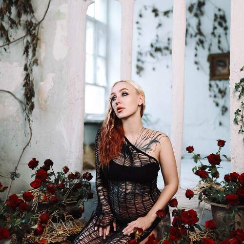 Photo #13045637