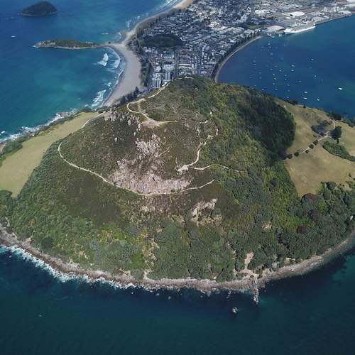 Photo #13045754