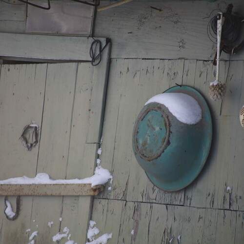 Photo #13045785