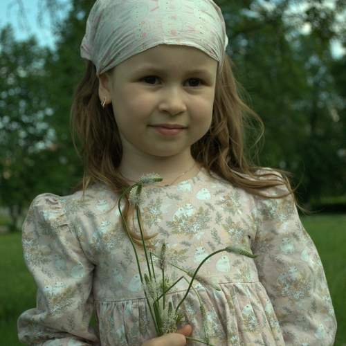 Photo #13045858