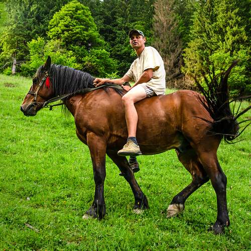 Фотография #13046086