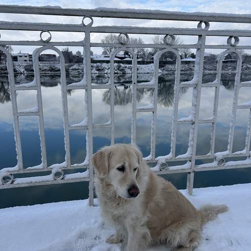 Photo #13046234