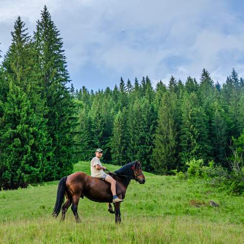 Photo #13046240