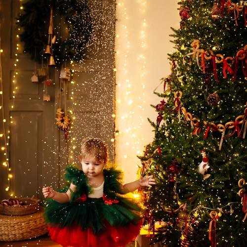 Photo #13046305