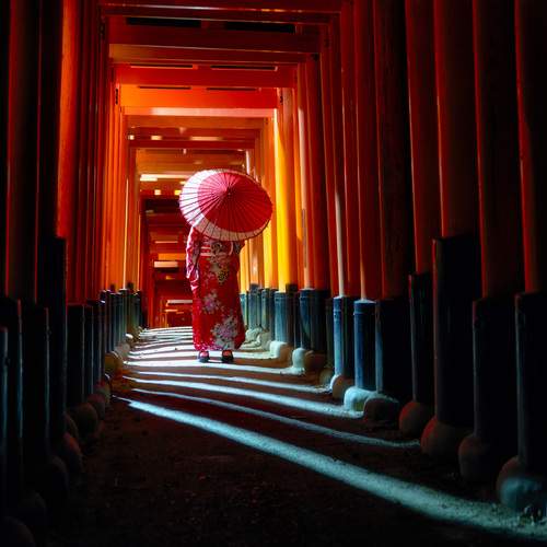 Фотография #13046389