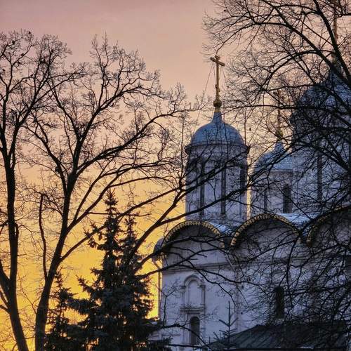 Photo #13046438