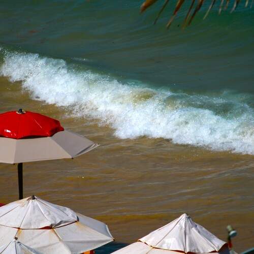 Photo #13046696