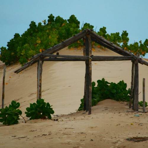 Photo #13046721