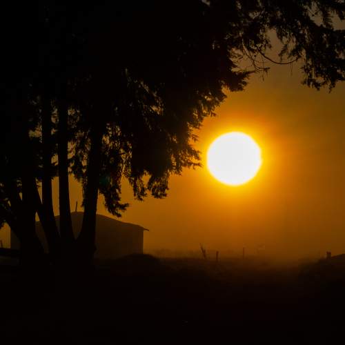 Photo #13046825