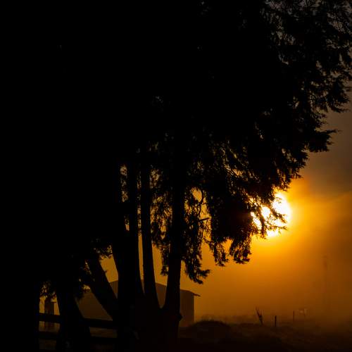Photo #13046830