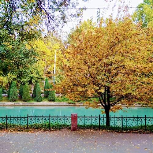 Photo #13046971