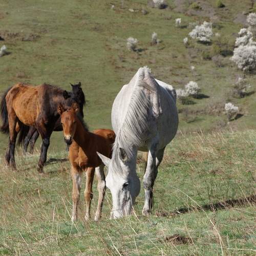 Photo #13047301