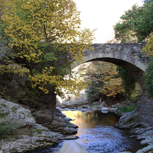 Photo #13047325