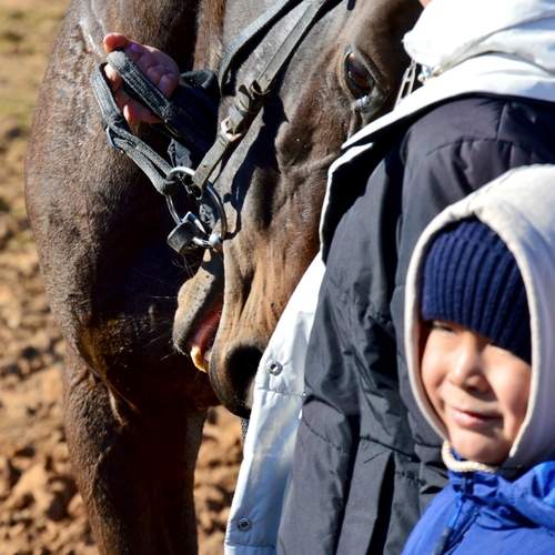 Photo #13047361