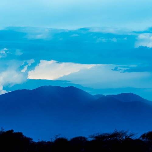 Photo #13047367