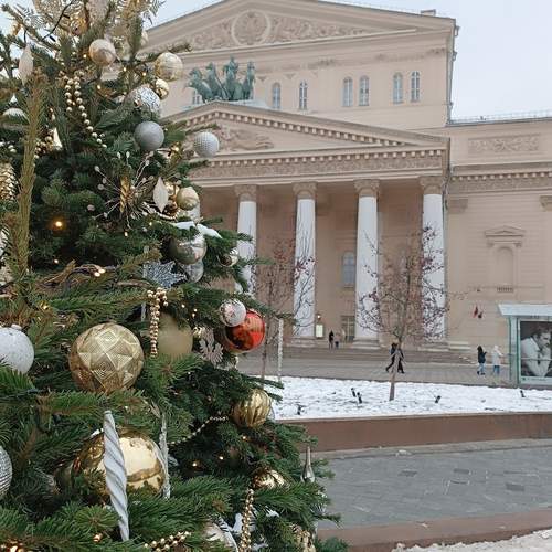 Photo #13047519