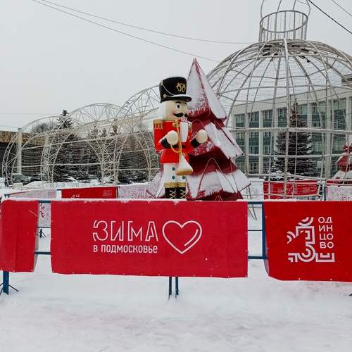 Photo #13047522