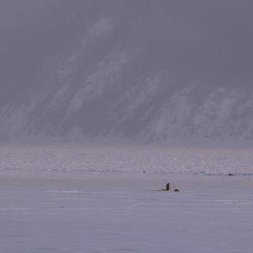 Photo #13047659