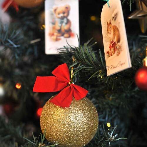 Фотография #13047698