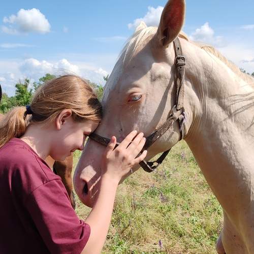 Photo #13047753