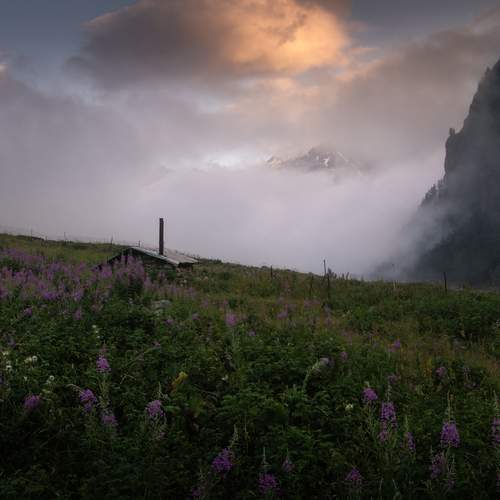 Photo #13047767