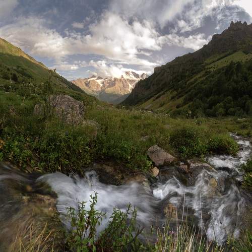 Photo #13047807