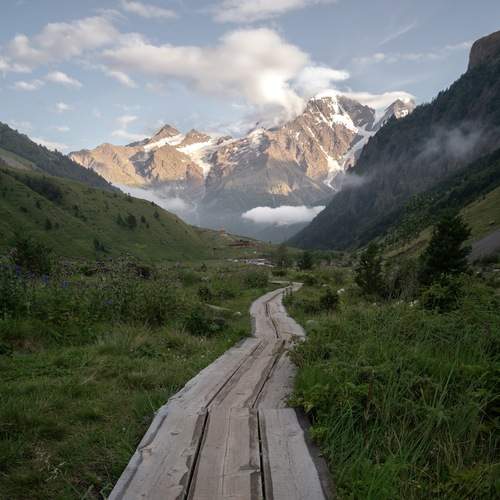 Photo #13047810